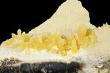 3" Fluorescent, Yellow Calcite Crystal Cluster - South Dakota - #129702-1